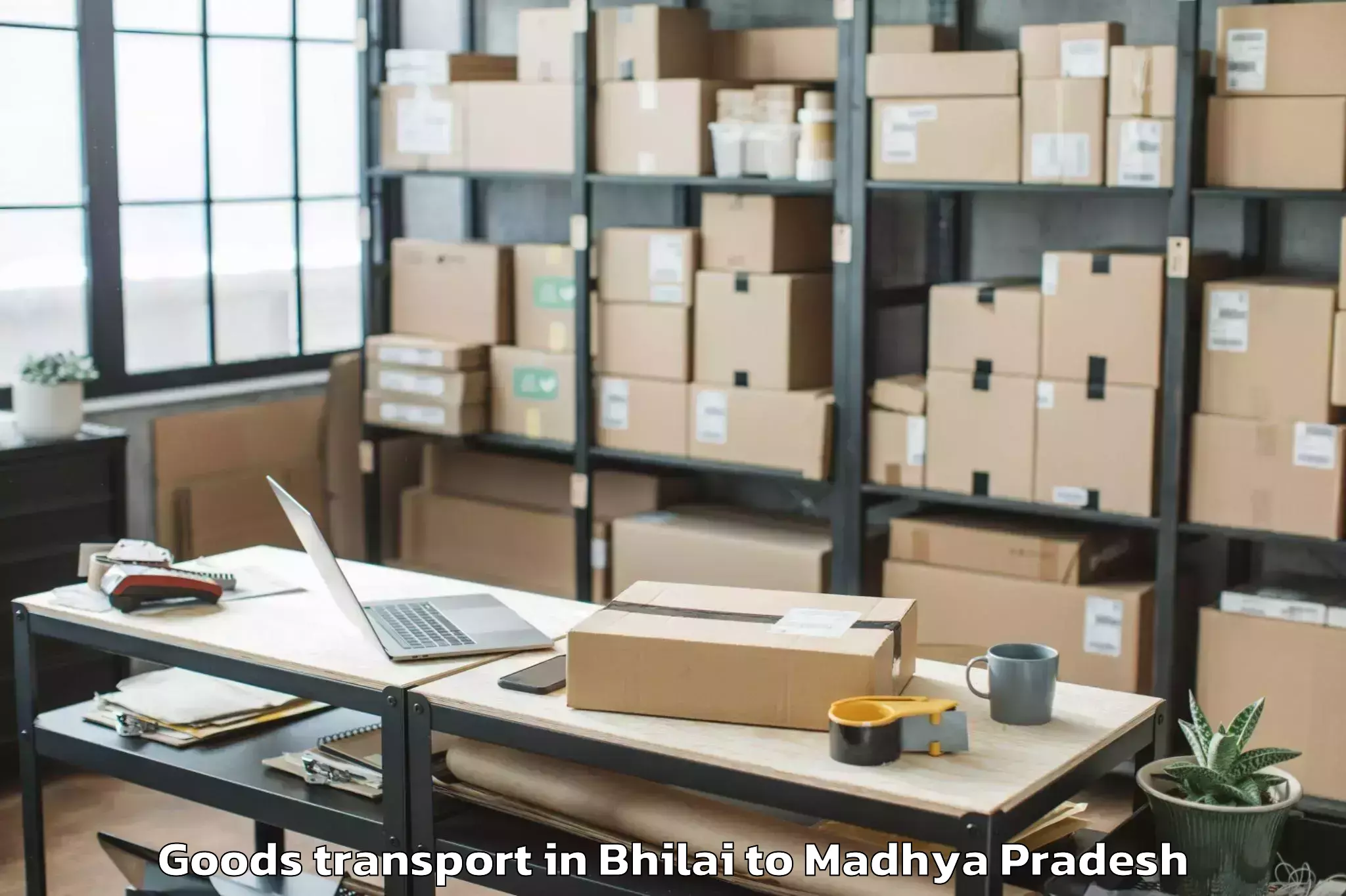 Easy Bhilai to Nalkheda Goods Transport Booking